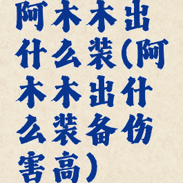 阿木木出什么装(阿木木出什么装备伤害高)
