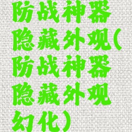 防战神器隐藏外观(防战神器隐藏外观幻化)