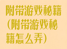 附带游戏秘籍(附带游戏秘籍怎么弄)