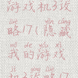 隐藏我的游戏机3攻略17(隐藏我的游戏机3攻略17关)