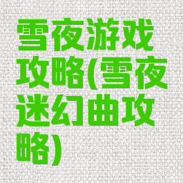雪夜游戏攻略(雪夜迷幻曲攻略)