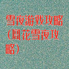 雪夜游戏攻略(风花雪夜攻略)