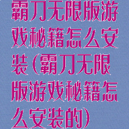 霸刀无限版游戏秘籍怎么安装(霸刀无限版游戏秘籍怎么安装的)