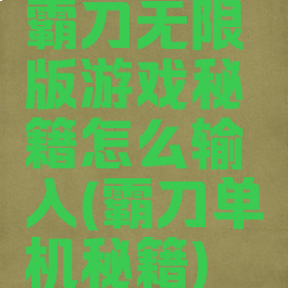霸刀无限版游戏秘籍怎么输入(霸刀单机秘籍)