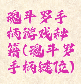 魂斗罗手柄游戏秘籍(魂斗罗手柄键位)