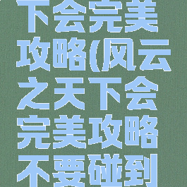 风云之天下会完美攻略(风云之天下会完美攻略不要碰到怪)