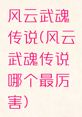 风云武魂传说(风云武魂传说哪个最厉害)