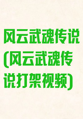风云武魂传说(风云武魂传说打架视频)