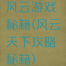 风云游戏秘籍(风云天下攻略秘籍)