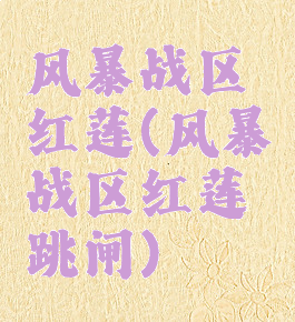 风暴战区红莲(风暴战区红莲跳闸)