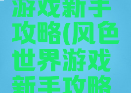 风色世界游戏新手攻略(风色世界游戏新手攻略大全)