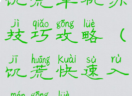 饥荒单机办技巧攻略(饥荒快速入门攻略)