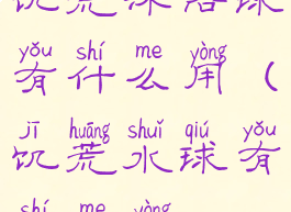 饥荒沐浴球有什么用(饥荒水球有什么用)