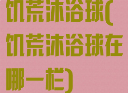 饥荒沐浴球(饥荒沐浴球在哪一栏)