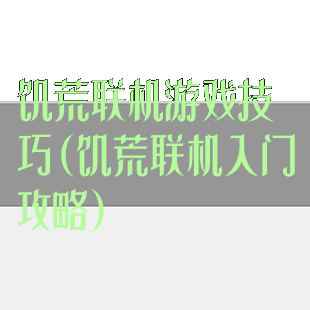 饥荒联机游戏技巧(饥荒联机入门攻略)