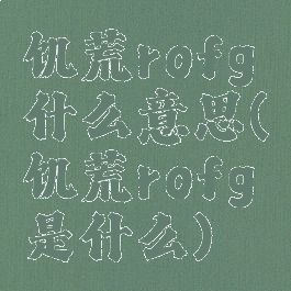 饥荒rofg什么意思(饥荒rofg是什么)