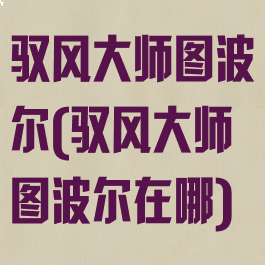 驭风大师图波尔(驭风大师图波尔在哪)