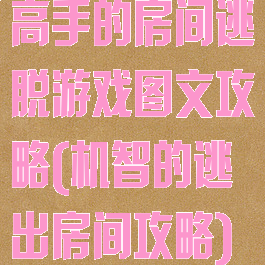 高手的房间逃脱游戏图文攻略(机智的逃出房间攻略)