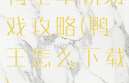 鸭王单机游戏攻略(鸭王怎么下载)