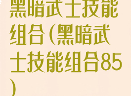 黑暗武士技能组合(黑暗武士技能组合85)