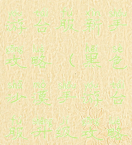 黑色沙漠手游台服新手攻略(黑色沙漠手游台服升级攻略)