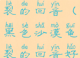 黑色沙漠龟裂的回音(黑色沙漠龟裂的回音好打吗)