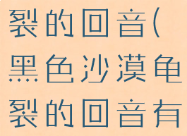 黑色沙漠龟裂的回音(黑色沙漠龟裂的回音有几个怪)