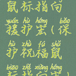 鼠标指向援护宏(保护祝福鼠标指向宏)