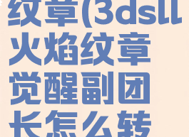 3dsll火焰纹章(3dsll火焰纹章觉醒副团长怎么转职)