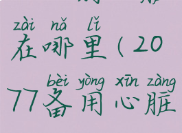 2077副心脏在哪里(2077备用心脏)