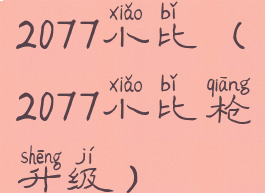 2077小比(2077小比枪升级)