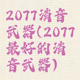 2077消音武器(2077最好的消音武器)