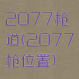 2077枪道(2077枪位置)