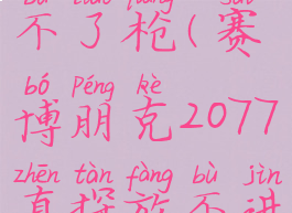 2077真探开不了枪(赛博朋克2077真探放不进去)