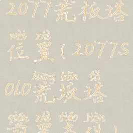 2077荒板塔位置(2077solo荒坂塔前置条件)