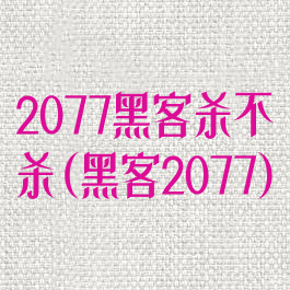 2077黑客杀不杀(黑客2077)