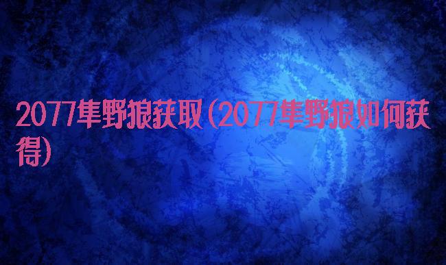 2077隼野狼获取(2077隼野狼如何获得)