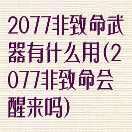 2077非致命武器有什么用(2077非致命会醒来吗)