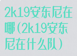 2k19安东尼在哪(2k19安东尼在什么队)