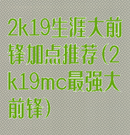 2k19生涯大前锋加点推荐(2k19mc最强大前锋)