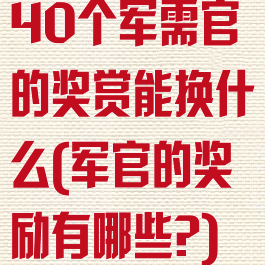 40个军需官的奖赏能换什么(军官的奖励有哪些?)