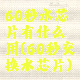 60秒水芯片有什么用(60秒交换水芯片)