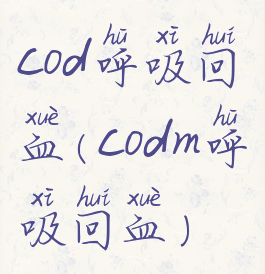 cod呼吸回血(codm呼吸回血)
