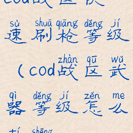 cod战区快速刷枪等级(cod战区武器等级怎么提升)