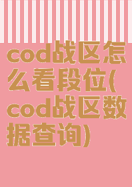 cod战区怎么看段位(cod战区数据查询)