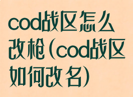 cod战区怎么改枪(cod战区如何改名)