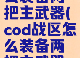 cod战区怎么装备两把主武器(cod战区怎么装备两把主武器的枪)