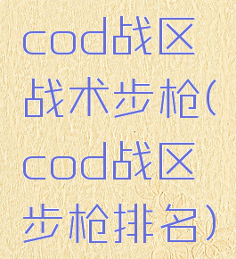 cod战区战术步枪(cod战区步枪排名)