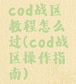 cod战区教程怎么过(cod战区操作指南)