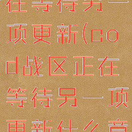 cod战区正在等待另一项更新(cod战区正在等待另一项更新什么意思)